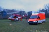 Goldhamster28