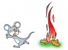 Feuermausel