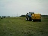 treckerfahrer99