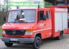 Schnepfen