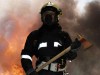 Feuerheini95