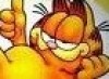 garfield9889