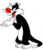 Sylvester72