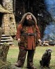 Hagrid