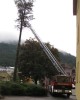 StadtfeuerwehrLa