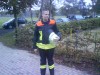 KingHoddel